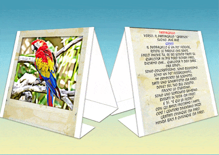 WAAAW - CAPITOLO 4 - CACCIA AL TESORO ANIMALESCA IN PDF - PER CASA O GIARDINO - immagine 4