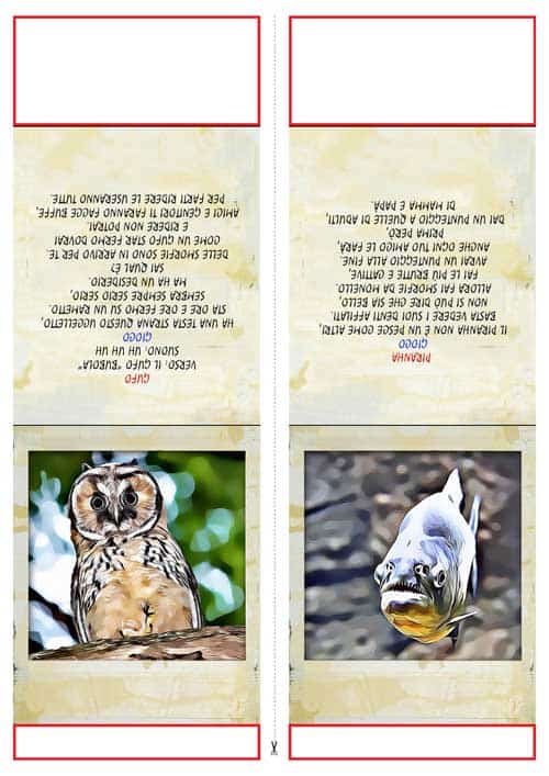 WAAAW - CAPITOLO 1 - CACCIA AL TESORO ANIMALESCA IN PDF - PER CASA O GIARDINO - immagine 3