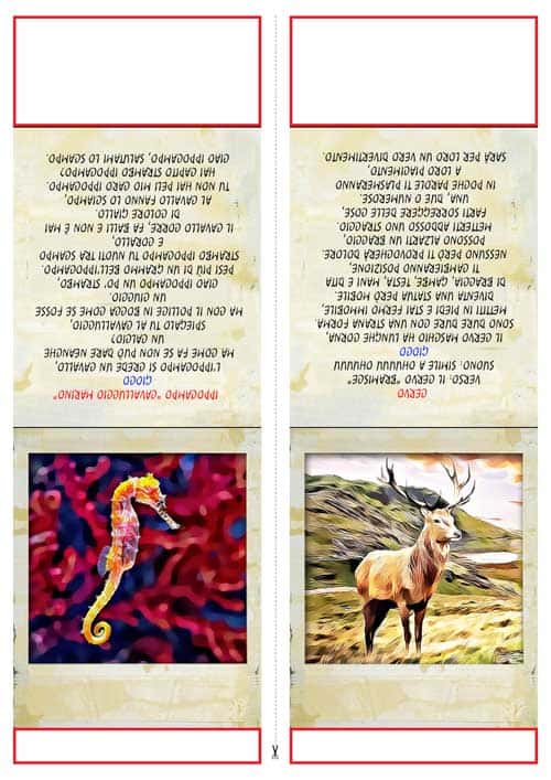 WAAAW - CAPITOLO 2 - CACCIA AL TESORO ANIMALESCA IN PDF - PER CASA O GIARDINO - immagine 3