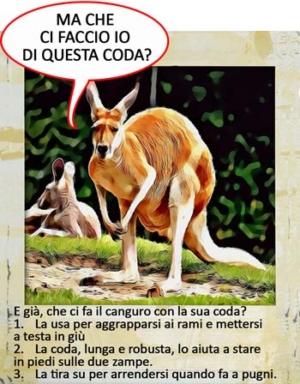 Quiz sugli animali per bambini. 50 quiz semplici, divertenti
