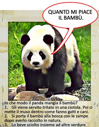 Come fa il panda a mangiare il bambù? quiz sugli animali con risposte