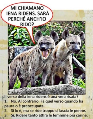 15 Quiz sugli animali, per i bambini più piccoli dai 5 ai 7 anni